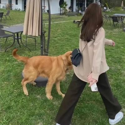 诗人与我的不浪漫周记 海报